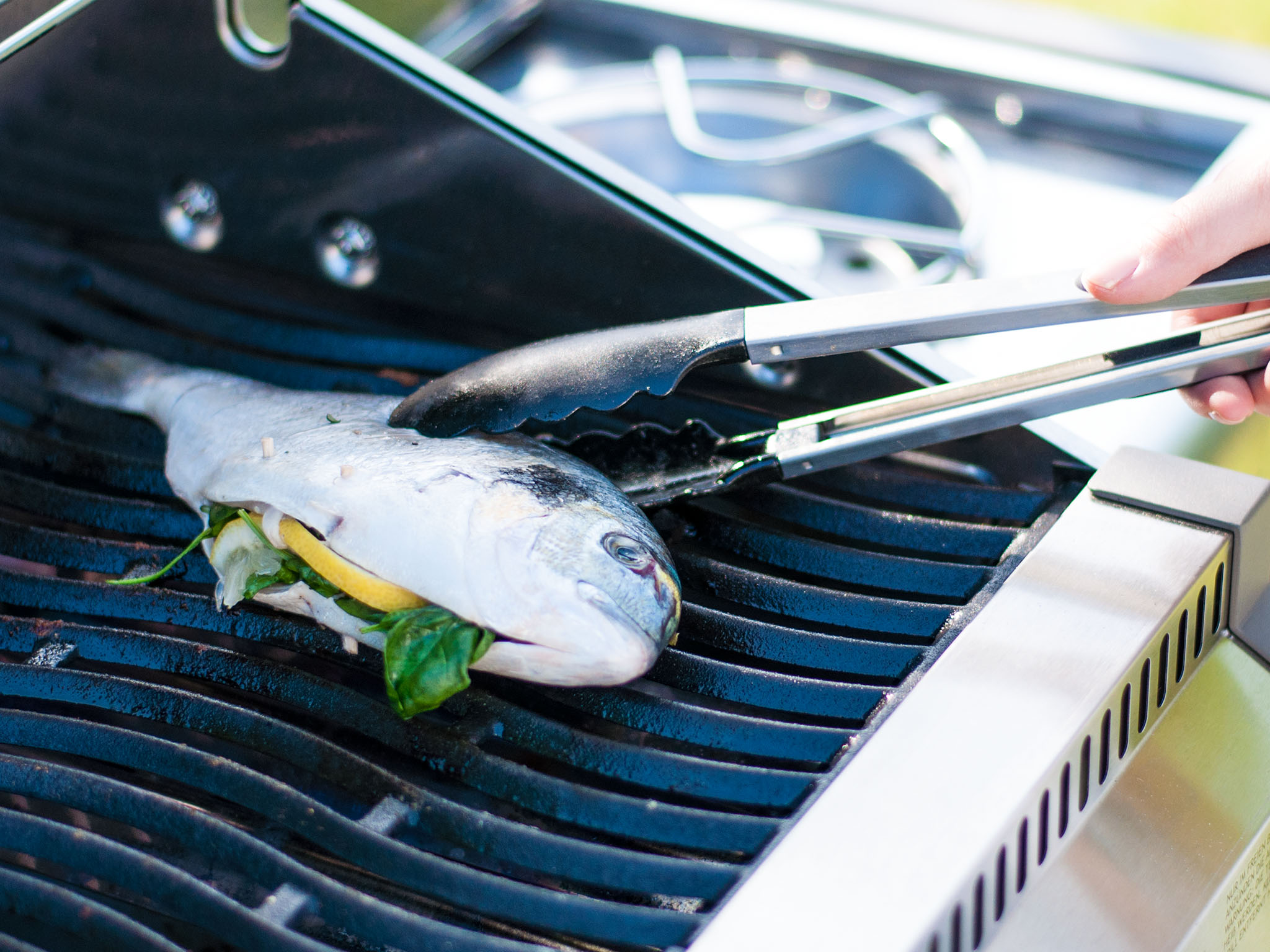 Whole grilled fish