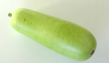 bottle gourd