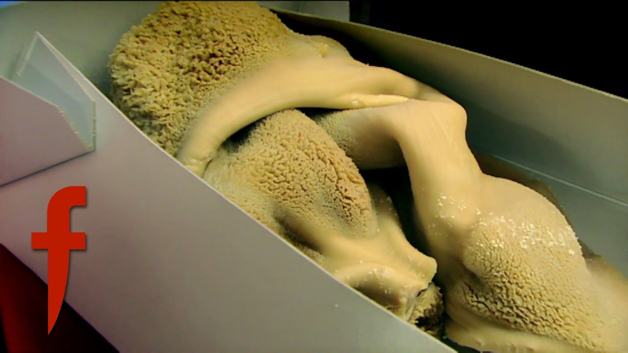 Gordon Ramsay Wants Tripe Back On The Menu | The F Word With Foxy Games