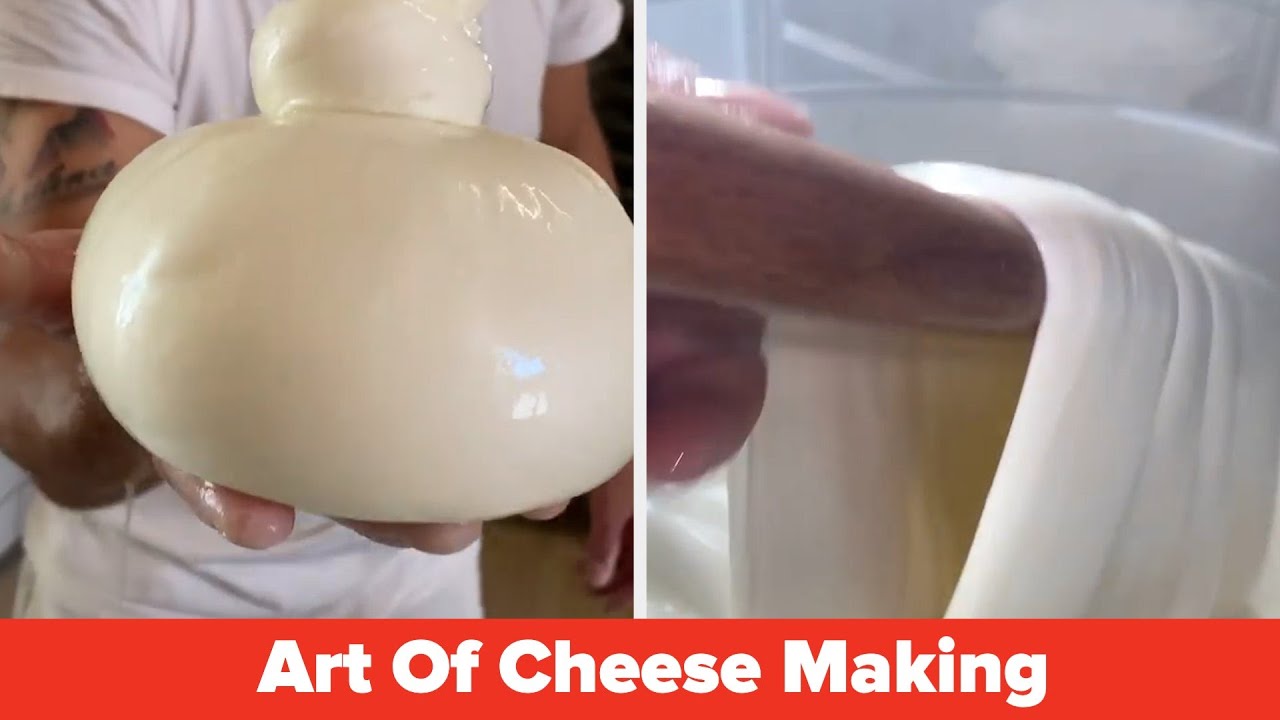 The Art Of Cheesemaking