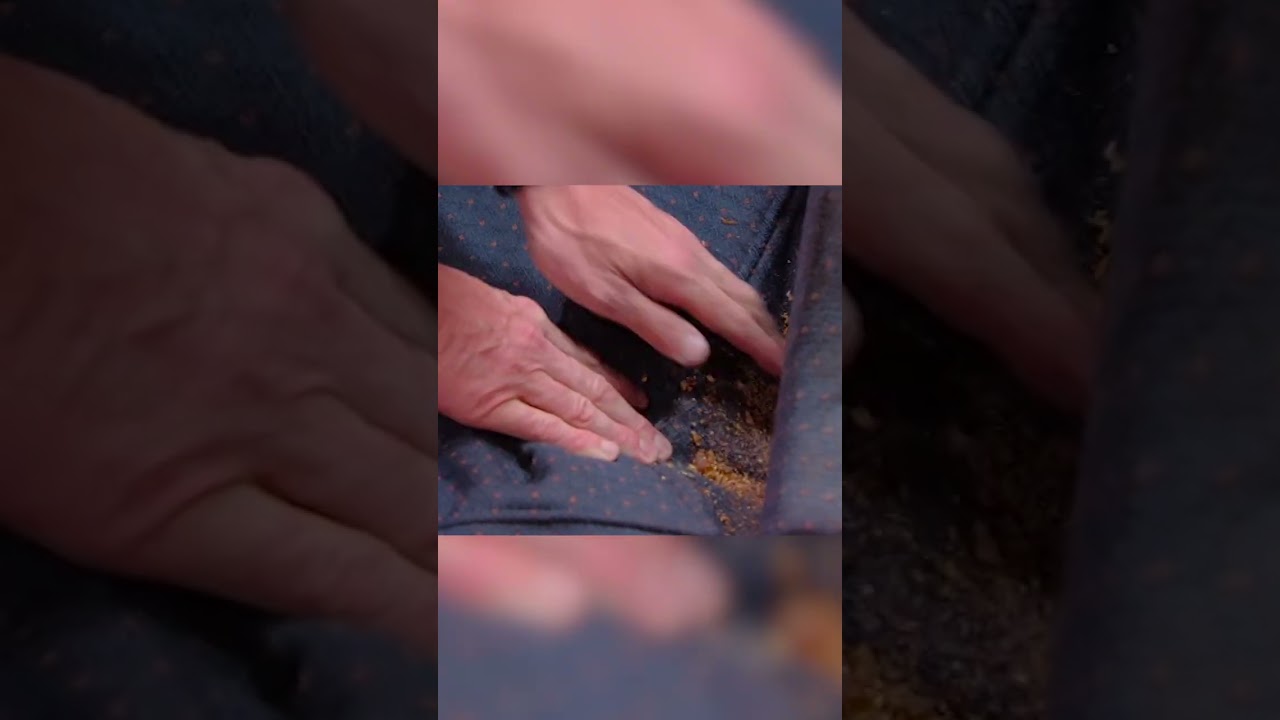 kitchen nightmares? more like chair nightmares 💀 #GordonRamsay #KitchenNightmares