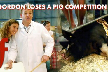 🐷 Gordon Ramsay's Berkshire Pigs: Entering the Royal Bath and West Show | The F Word