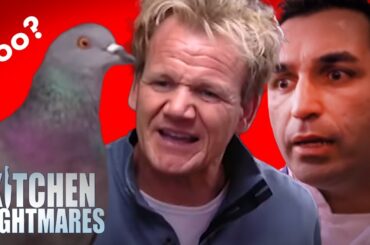 restaurants that are certified jumpscares | Kitchen Nightmares