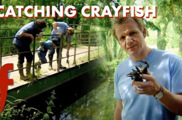 Pub-Landlord's Lessons: Gordon Catches & Cooks American Catfish 🦞 | The F Word