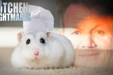 these chefs need a rat under their hat | Kitchen Nightmares