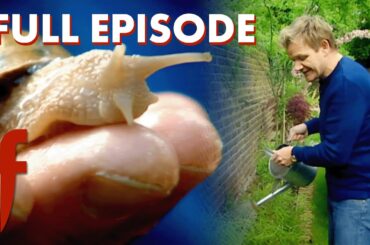 🐌 Eating Snails From Your Back Garden | FULL EPISODE | Season 2 - Episode 8 | The F Word