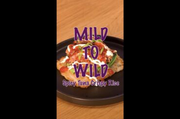 Mild to Wild Ep. 4 Spicy Tuna Crispy Rice