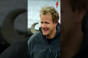 Gordon Ramsay attempts to ride a bull! #shorts #thefword #gordonramsay