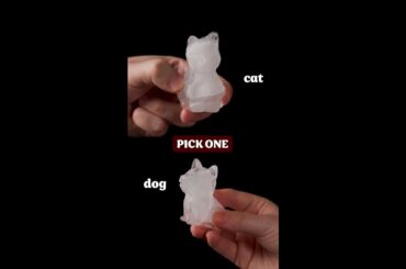 This or That: Pick an Ice