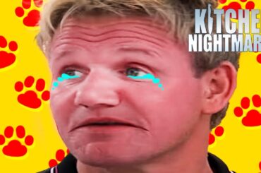me looking at my cat doing absolutely nothing | Kitchen Nightmares | Gordon Ramsay