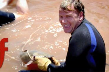 Gordon's American Catfishing Quest | The F Word