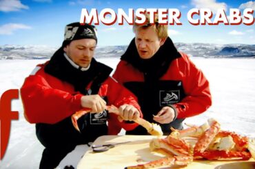 "Look at the Size of the Thing!" | The F Word