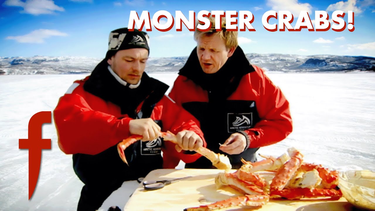 “Look at the Size of the Thing!” | The F Word "Look at the Size of the Thing!" | The F Word