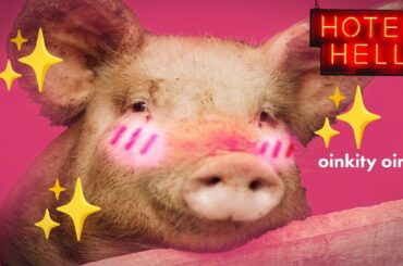 bro treats his pigs better than his staff | Hotel Hell | Gordon Ramsay