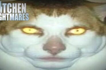 monday left me broken | Kitchen Nightmares | Gordon Ramsay