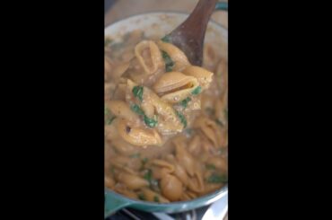 One Pot Fennel Pasta
