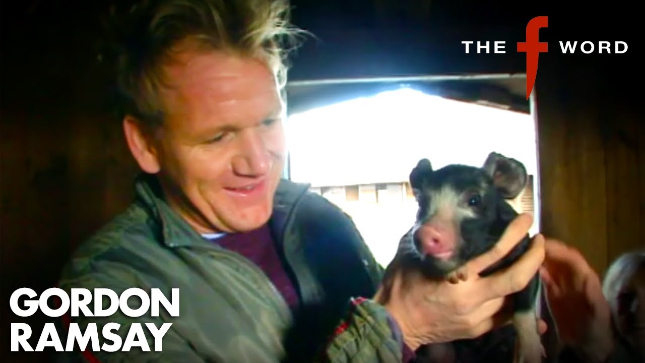 Gordon Learns About Pork 🐷 | The F Word | Gordon Ramsay Gordon Learns About Pork 🐷 | The F Word | Gordon Ramsay