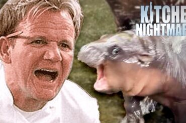 gordon & moo deng screamo duet when | Kitchen Nightmares | Gordon Ramsay