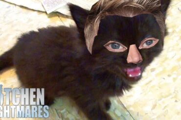 be quiet gordon has something to say | Kitchen Nightmares | Gordon Ramsay