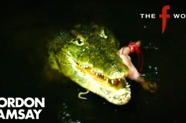 Visiting A Crocodile Farm! 🐊 | The F Word | Gordon Ramsay