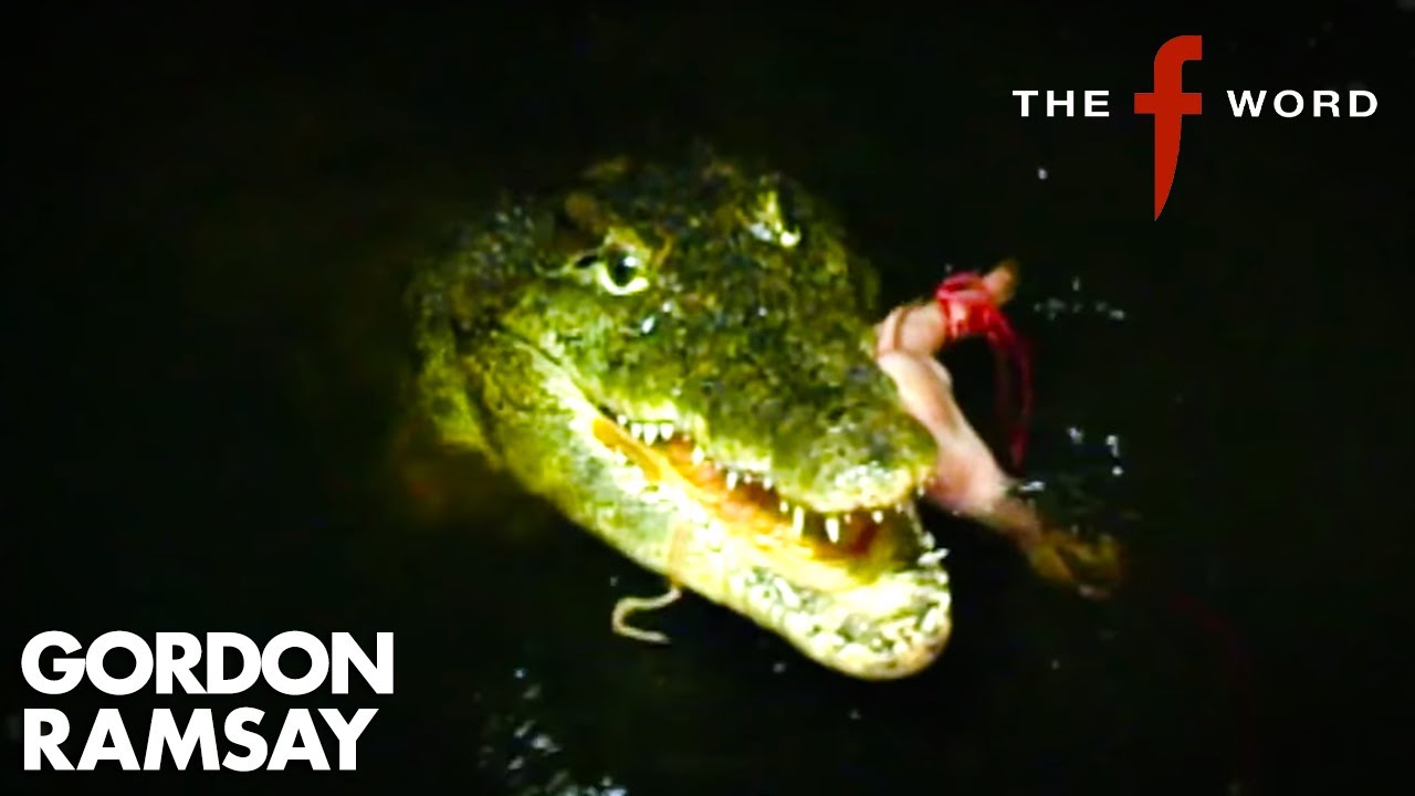Visiting A Crocodile Farm! 🐊 | The F Word | Gordon Ramsay Visiting A Crocodile Farm! 🐊 | The F Word | Gordon Ramsay