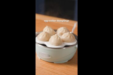 Egg Cooker Dumplings