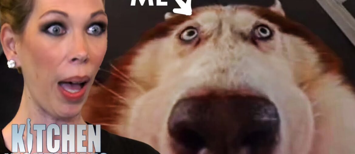 me if i worked at amy's baking company | Kitchen Nightmares | Gordon Ramsay