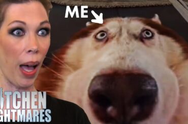 me if i worked at amy's baking company | Kitchen Nightmares | Gordon Ramsay