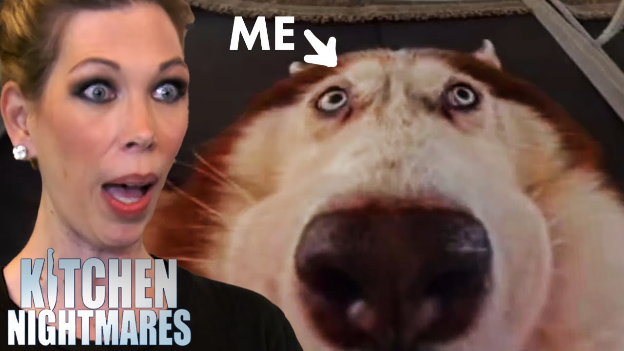 me if i worked at amy’s baking company | Kitchen Nightmares | Gordon Ramsay me if i worked at amy's baking company | Kitchen Nightmares | Gordon Ramsay