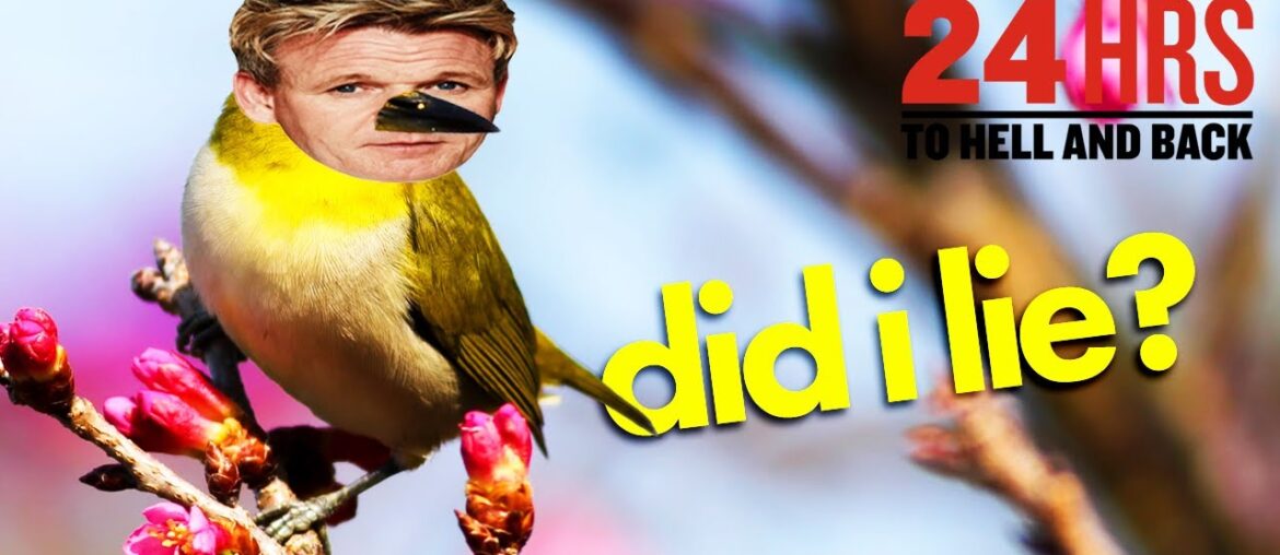 a little bird told me you haven't watched this yet??? | 24 Hours to Hell and Back | Gordon Ramsay