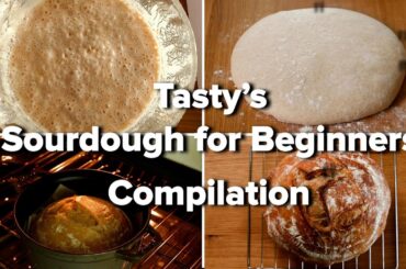 Tasty's Sourdough For Beginners Compilation