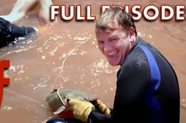 Gordon Ramsay's Wild Hunt: Catfish & Hog Wars! | Full Episodes | The F Word