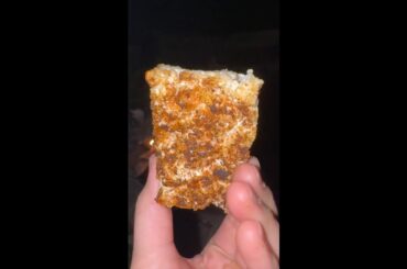 Roasted Rice Krispies
