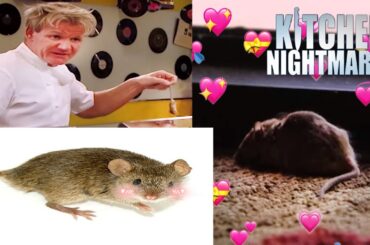 The Mouse (What Does the Mouse Say?) | Full Episodes | Kitchen Nightmares