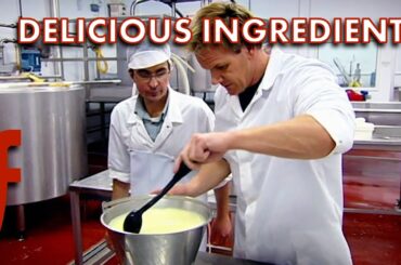 Discovering The Secret Of The Best Ingredients | The F Word | Gordon Ramsay