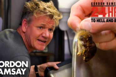 Gordon Finds Dead Mice, Cockroaches & MORE... | 24 Hours to Hell & Back | Gordon Ramsay