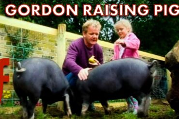 Gordon Raises Pigs In His Garden | The F Word | Gordon Ramsay