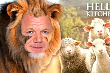 lion ramsay doesn't concern himself with the opinions of sheep | Full Episode | Hell's Kitchen