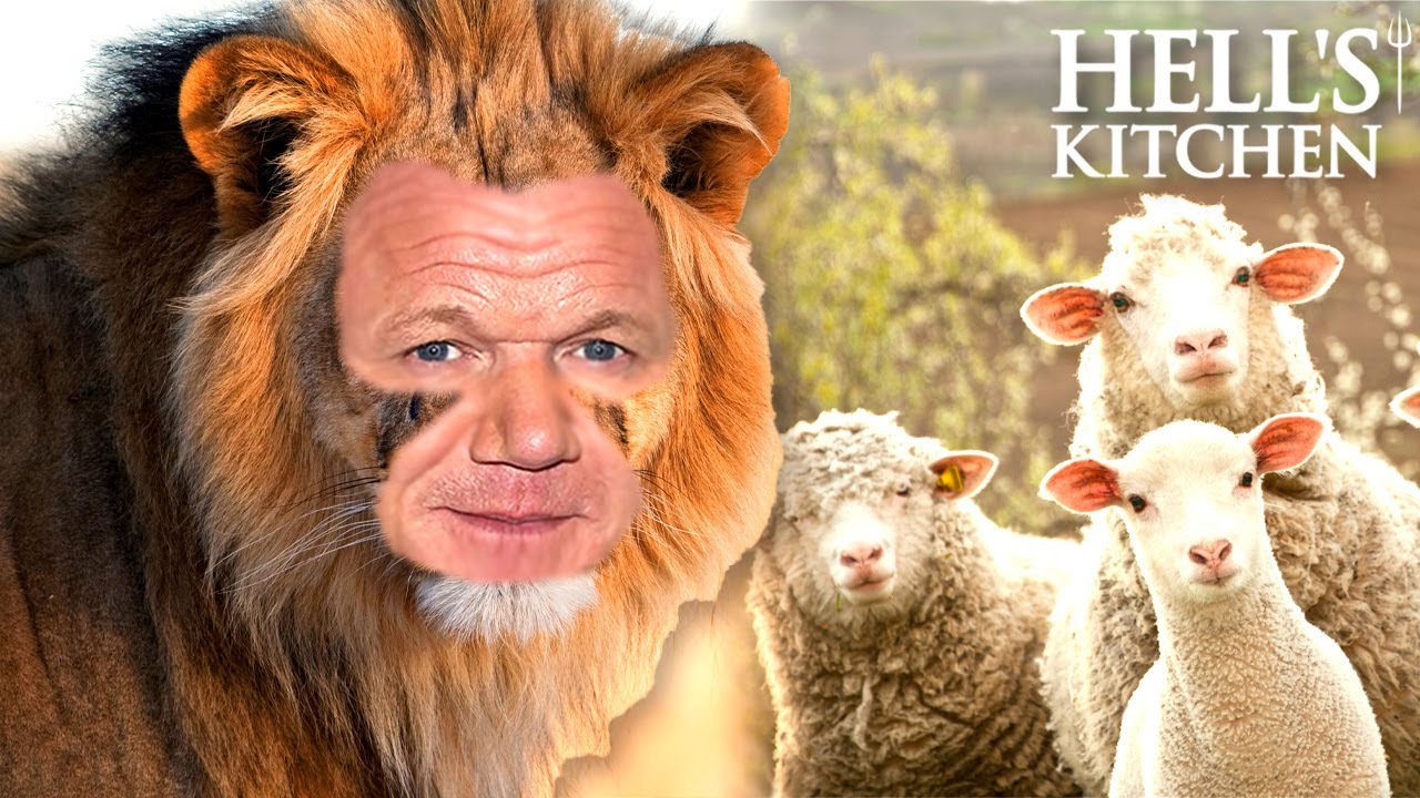 lion ramsay doesn’t concern himself with the opinions of sheep | Full Episode | Hell’s Kitchen lion ramsay doesn't concern himself with the opinions of sheep | Full Episode | Hell's Kitchen