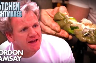 This Kitchen is ABSOLUTELY DISGUSTING! | Full Episode | Kitchen Nightmares