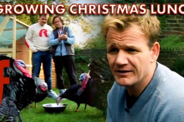 Gordon Ramsay Grows His Own Christmas Lunch | The F Word | Gordon Ramsay