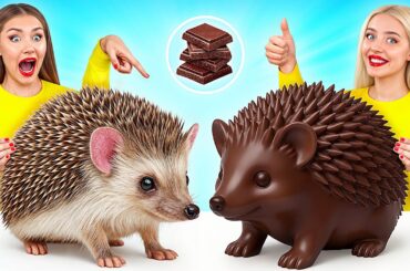 Real Food vs Chocolate Food Challenge | Cool Food Tricks by Multi DO Challenge