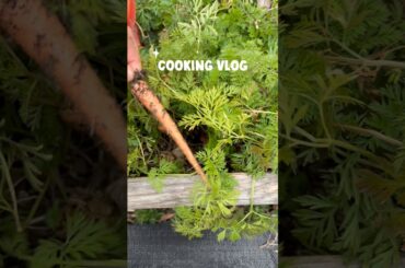 Garden to table dinner featuring some super tender carrots! #gardentotable #dinnerrecipe