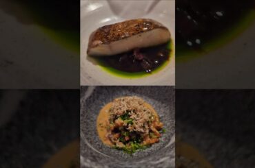 I went to a Michelin star restaurant and ate ants (Fagn, Trondheim) 🇧🇻 #norway #finedining #fagn