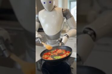 Home humanoid with fine dining chef level cooking skills #AI
