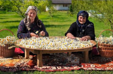 Farm to Table Cooking Recipes / Off-Grid Living Family / Homesteading Daily Routine