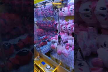 Catchme BD Fun || Catchme Chef's Table || Unimart