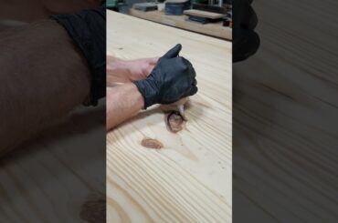 Handcrafted Dining Table Build Process #woodworking #diy #shorts