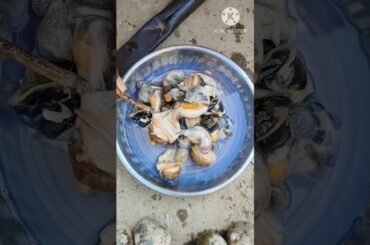 Snail Recipe // Village Cooking #cooking #shorts #food