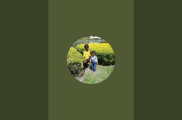 live cooking paratha recipe #live #cooking